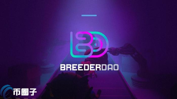 BREED是什么币种？一文了解BREED币