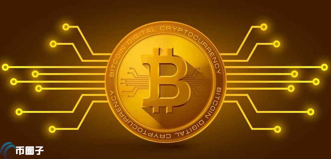 新手小白适合长期持有BSV还是BCH?