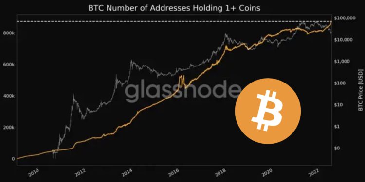 微策略CEO:比特币跌95%才要担心!持1BTC地址数创新高