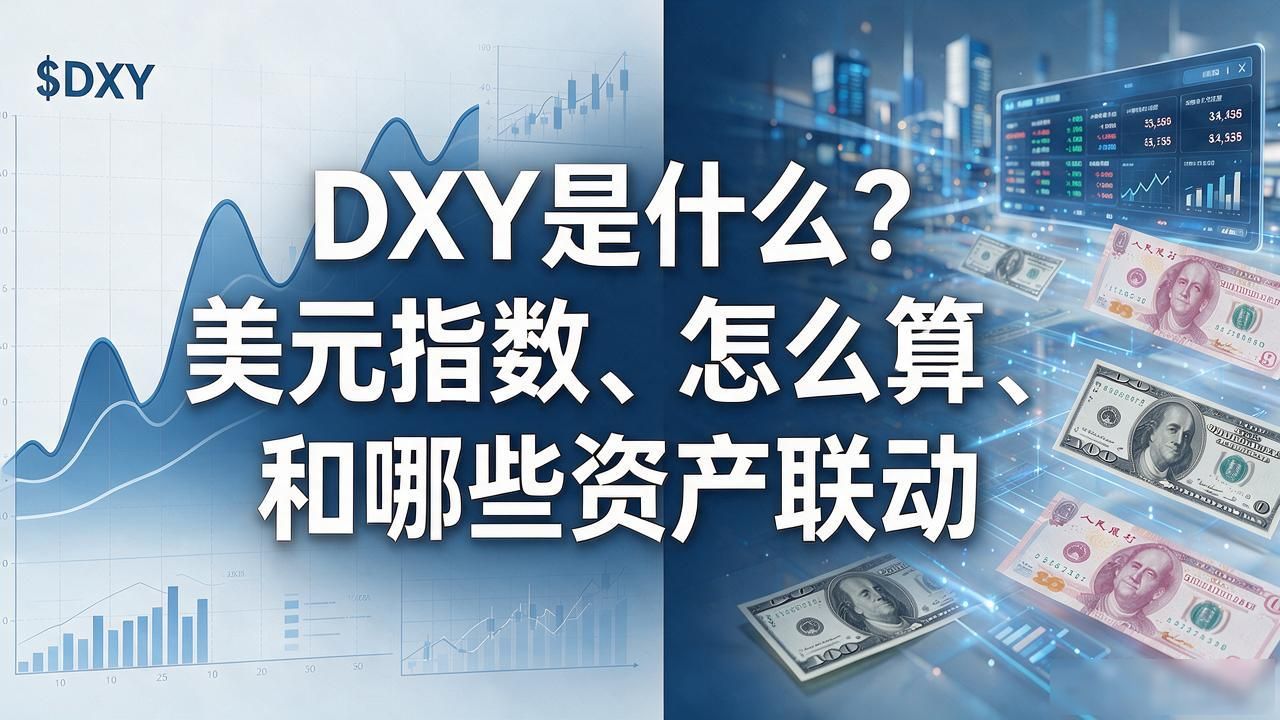 dxy指数_dxy什么意思啊_dxy