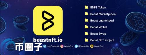 BNFT是什么币？BNFT币值得投资吗？