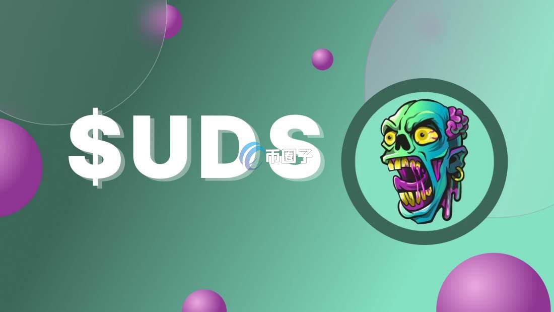 UDS是什么币种?UDS币怎么样?